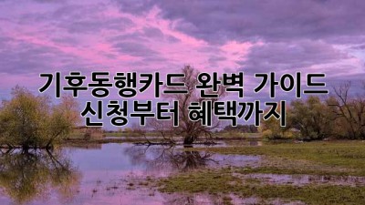 기후동행카드 완벽 가이드: 신청부터 혜택까지!